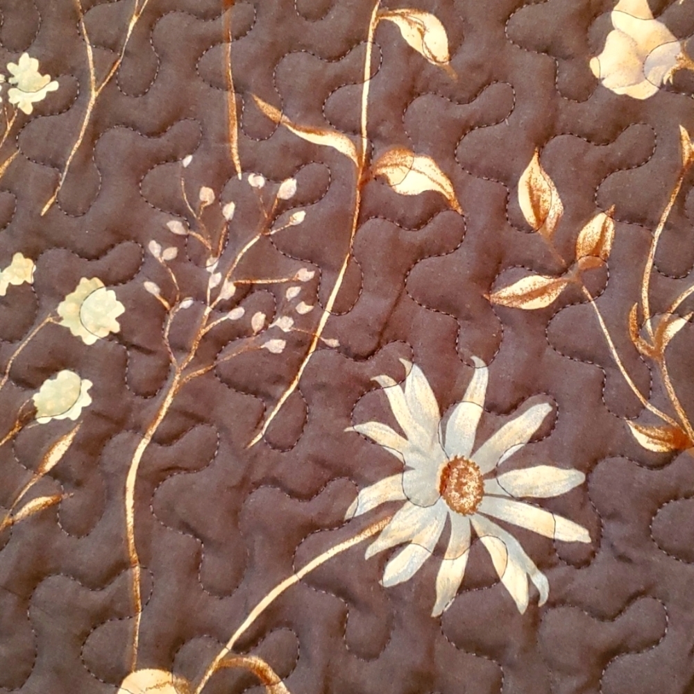 SouthShore full/Queen Blue/White Bedspread & shams